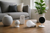 5 Affordable Smart Home Gadgets Under $50 in 2026
