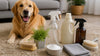 Eco Friendly Cleaning Products for Pet Owners