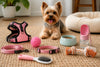 Trending Pet Accessories for Small Dogs: Top Picks