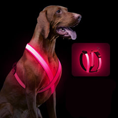 LED Dog Harness